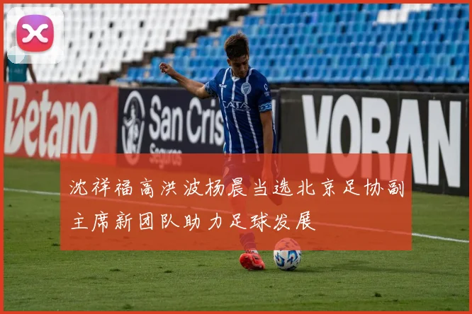 沈祥福高洪波杨晨当选北京足协副主席新团队助力足球发展