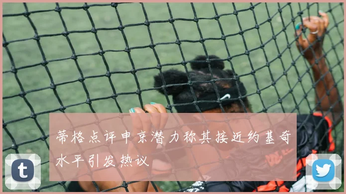蒂格点评申京潜力称其接近约基奇水平引发热议