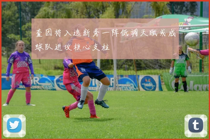 奎因将入选新秀一阵低调天赋或成球队进攻核心支柱