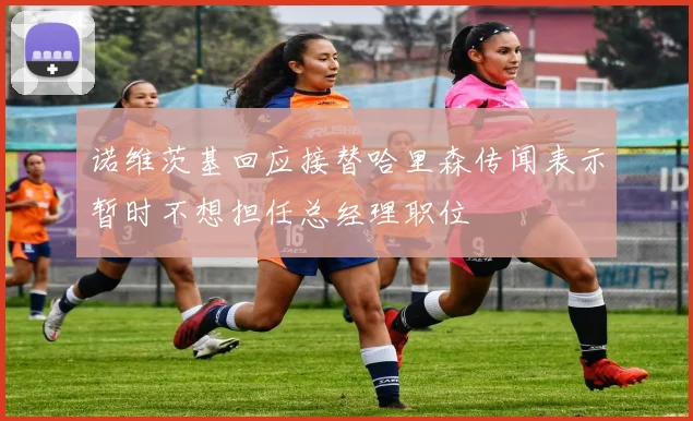 诺维茨基回应接替哈里森传闻表示暂时不想担任总经理职位
